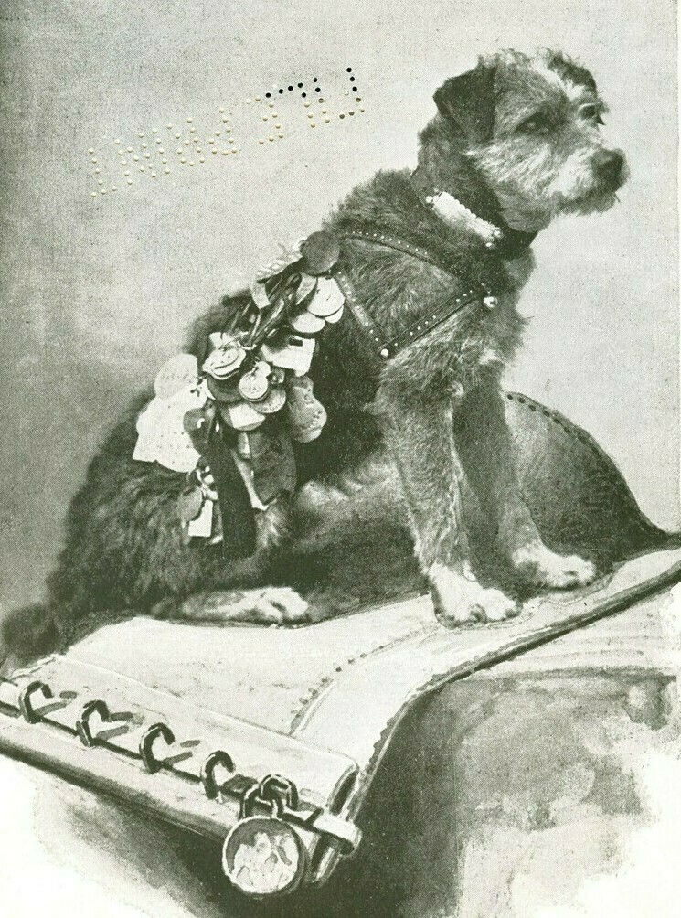 Фото: Smithsonian Institution Libraries/flickr.com Фото: Smithsonian Institution Libraries/flickr.com
