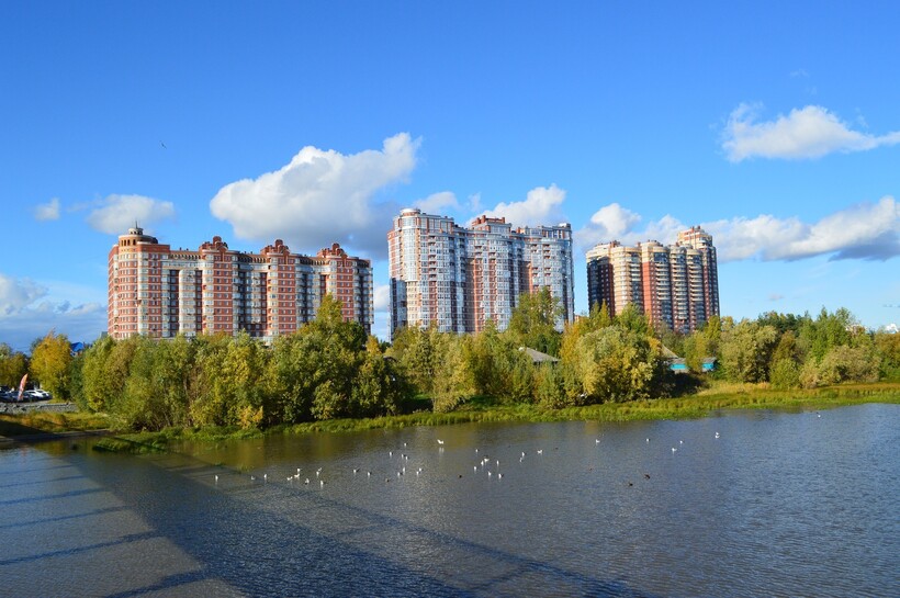 Фото: viktorpugno6/pixabay.com Фото: viktorpugno6/pixabay.com