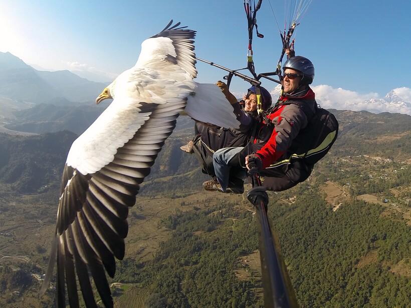 Блог - 20 потрясающих кадров, снятых на камеру GoPro 20 потрясающих кадров, снятых на камеру GoPro
