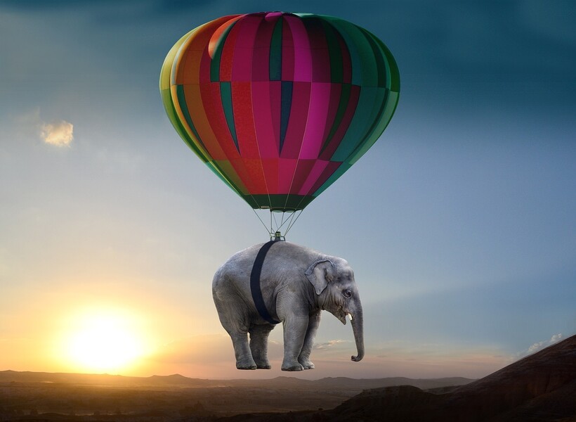 Фото: PIRO4D/pixabay.com Фото: PIRO4D/pixabay.com