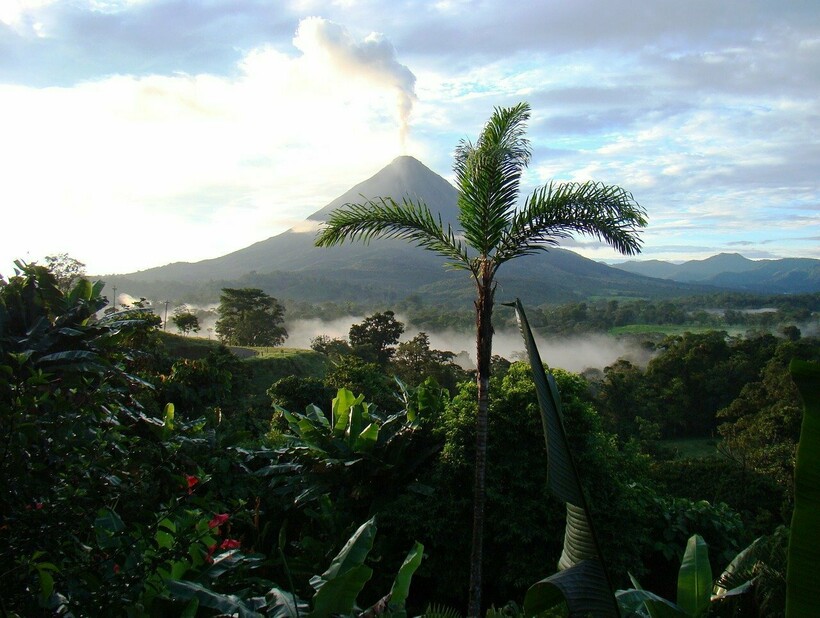 Фото: BelaMarie/pixabay.com Фото: BelaMarie/pixabay.com