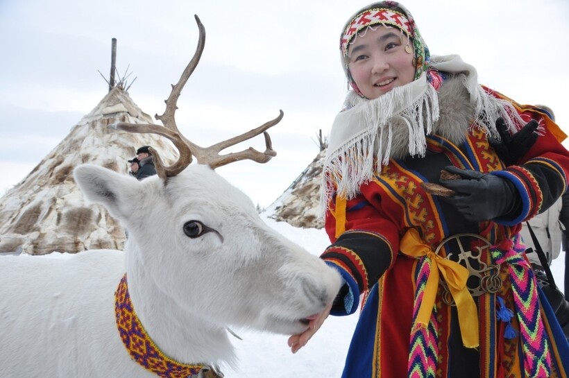 Девушка и олень. Фото: admnoyabrsk.ru Девушка и олень. Фото: admnoyabrsk.ru