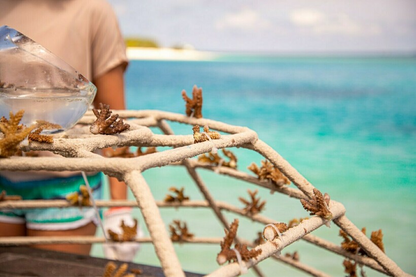 Блог - Первая семейная программа Side by Side от Sheraton Maldives Full Moon Resort & Spа Первая семейная программа Side by Side от Sheraton Maldives Full Moon Resort & Spа