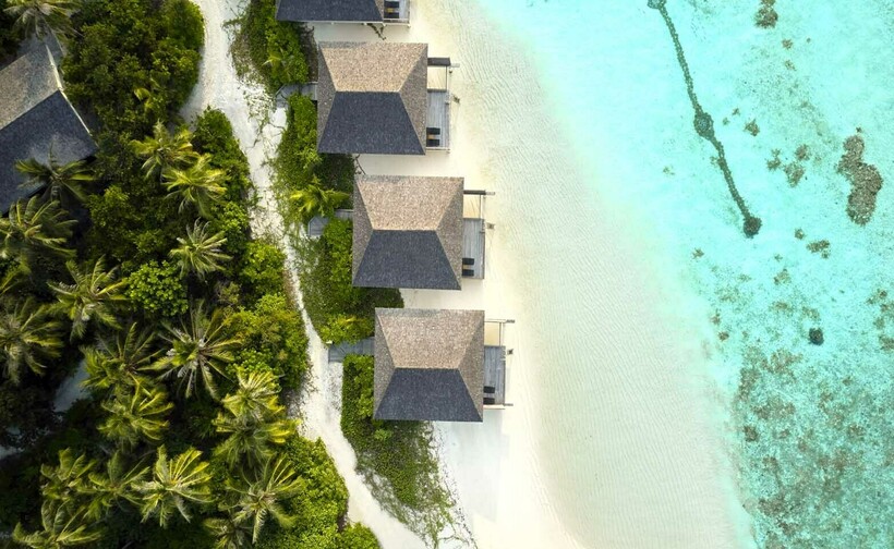 Блог - Le Méridien Maldives Resort & Spa — отдых с заботой о природе Le Méridien Maldives Resort & Spa — отдых с заботой о природе