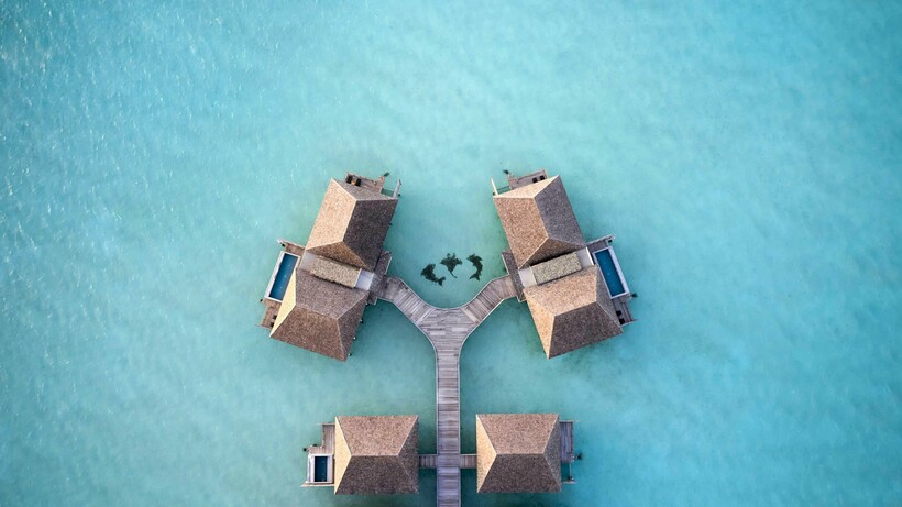 Блог - Le Méridien Maldives Resort & Spa — отдых с заботой о природе Le Méridien Maldives Resort & Spa — отдых с заботой о природе