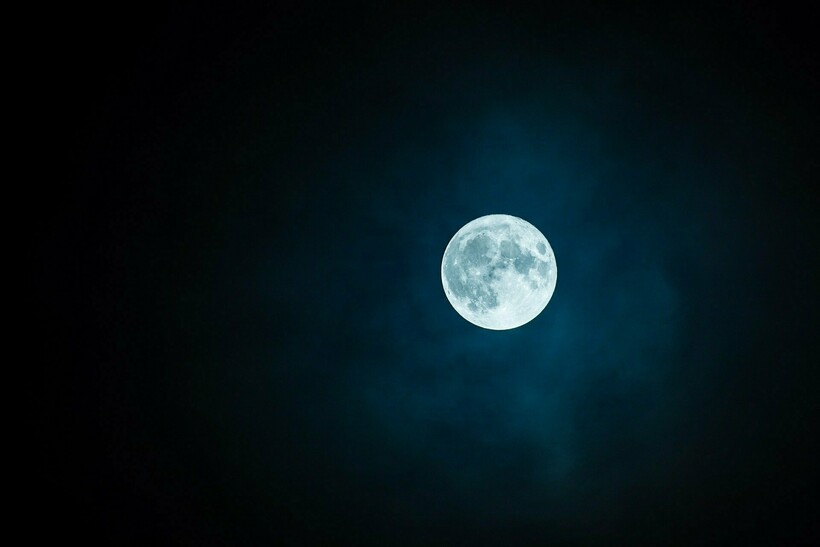 Фото: rkarkowski/pixabay.com Фото: rkarkowski/pixabay.com