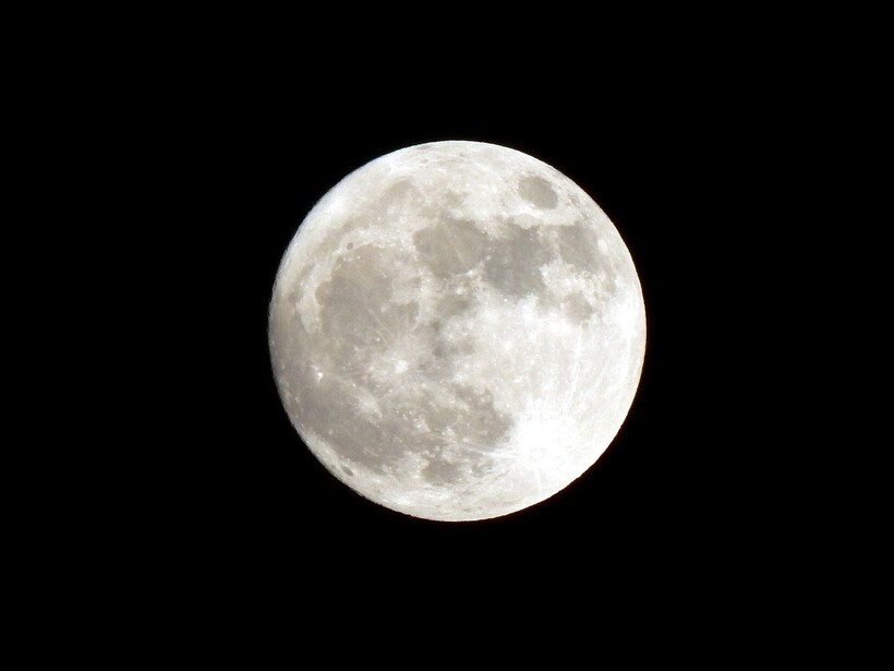 Фото: Rohvannyn/pixabay.com Фото: Rohvannyn/pixabay.com