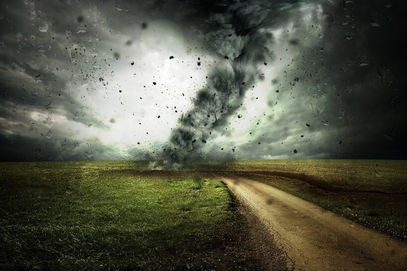Фото: Comfreak/pixabay.com Фото: Comfreak/pixabay.com
