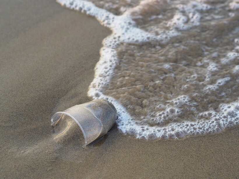 Фото: flockine/pixabay.com Фото: flockine/pixabay.com