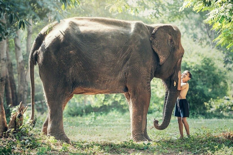 Фото: sasint/pixabay.com Фото: sasint/pixabay.com