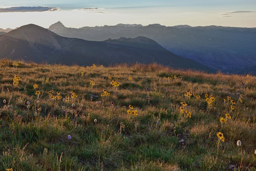Фото: Bureau of Land Management/ flickr.com Фото: Bureau of Land Management/ flickr.com
