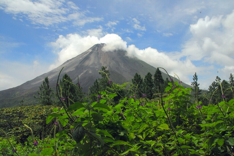 Фото: Andrew Codrington/flickr.com Фото: Andrew Codrington/flickr.com