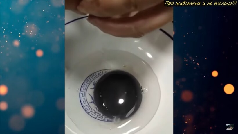Блог - Мужчина разбил яйцо, а там абсолютно черный желток, но храбрец все же попробовал его Мужчина разбил яйцо, а там абсолютно черный желток, но храбрец все же попробовал его