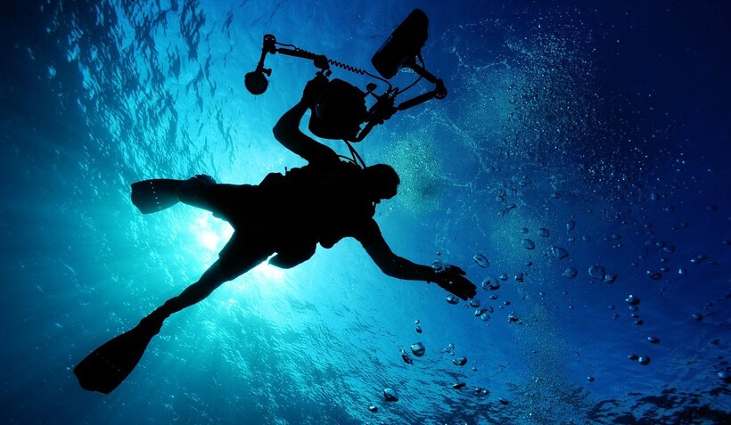 Фото: underwater/pixabay.com Фото: underwater/pixabay.com