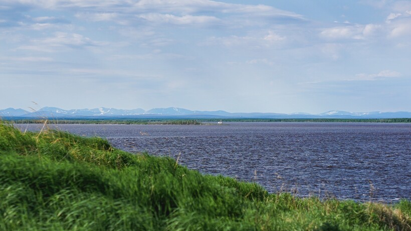 Фото: MaxxGirr/pixabay.com Фото: MaxxGirr/pixabay.com