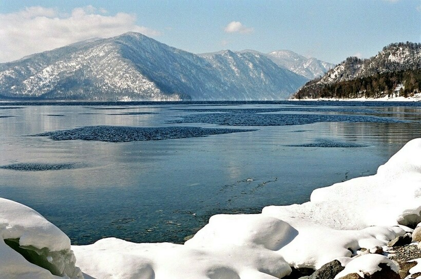 Фото: altzapovednik.ru Фото: altzapovednik.ru