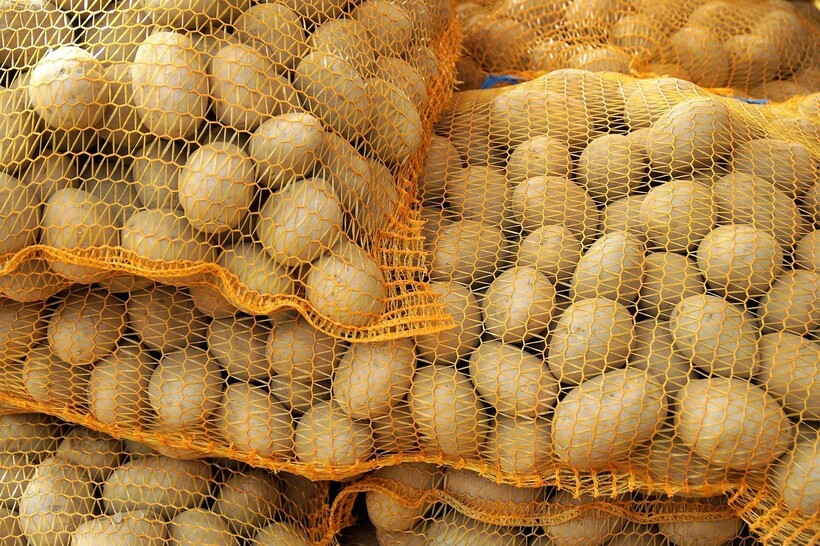 Фото: ivabalk/pixabay.com Фото: ivabalk/pixabay.com