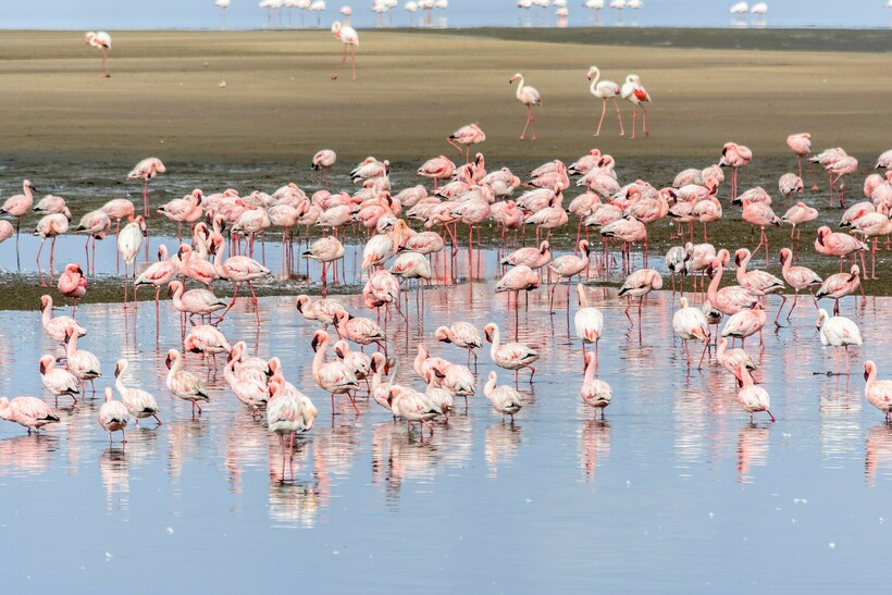 Фото: Domenico Convertini/flickr.com Фото: Domenico Convertini/flickr.com