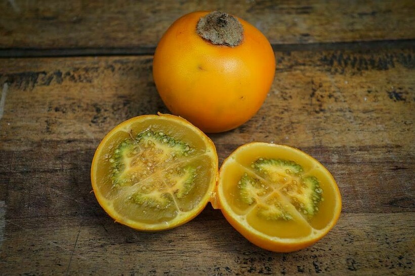 Блог - Фрукт со вкусом борща и еще 6 экзотических плодов, которых нет в российских магазинах Фрукт со вкусом борща и еще 6 экзотических плодов, которых нет в российских магазинах