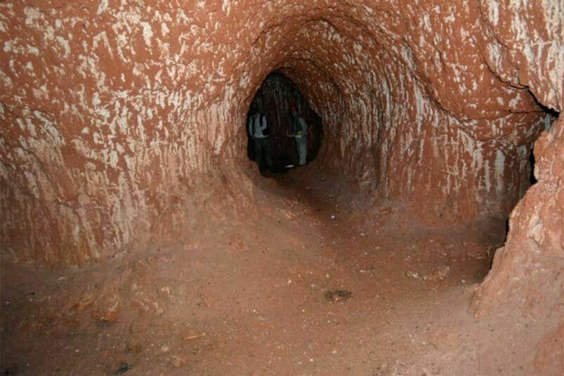 В некоторых норах может легко пройти человек в полный рост. Фото: Heinrich Frank/discovermagazine.com В некоторых норах может легко пройти человек в полный рост. Фото: Heinrich Frank/discovermagazine.com