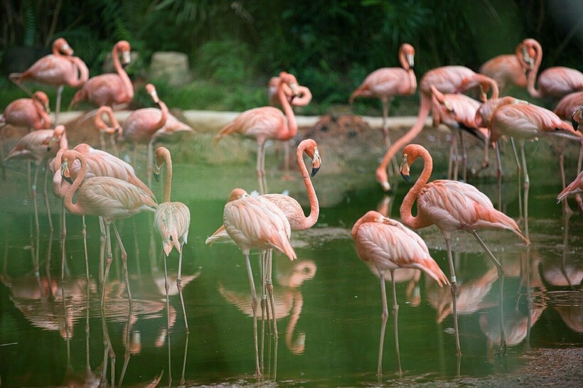 Фото: tonywuphotography/pixabay.com Фото: tonywuphotography/pixabay.com