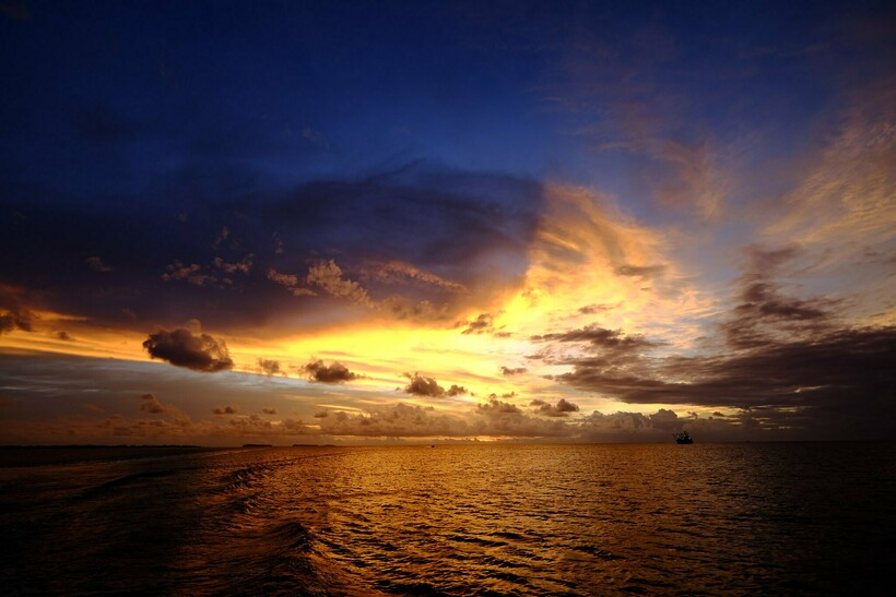 Фото: Shuhei S/flickr.com Фото: Shuhei S/flickr.com