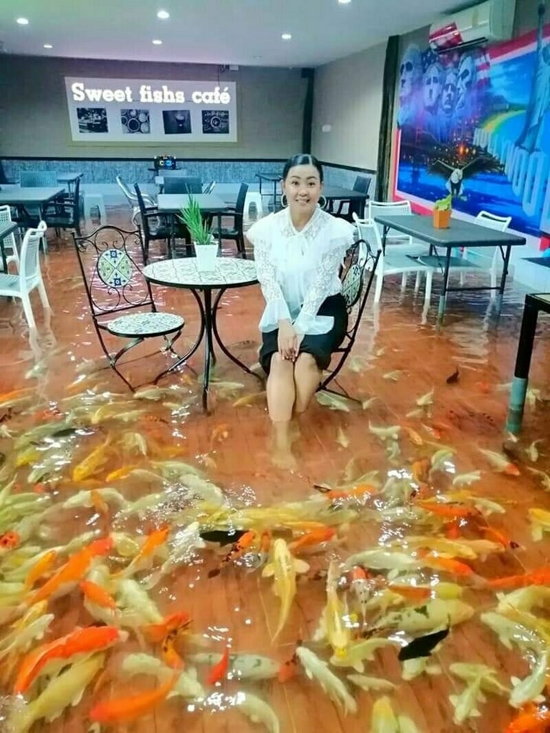 Блог - Кафе Sweet Fishs, где столики стоят в воде, а между ними плавают карпы кои Кафе Sweet Fishs, где столики стоят в воде, а между ними плавают карпы кои