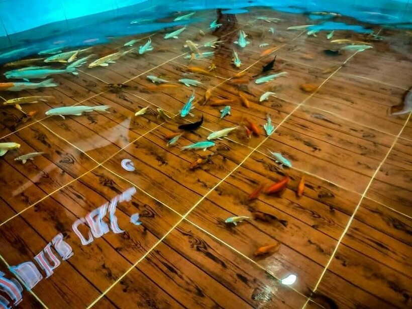 Блог - Кафе Sweet Fishs, где столики стоят в воде, а между ними плавают карпы кои Кафе Sweet Fishs, где столики стоят в воде, а между ними плавают карпы кои