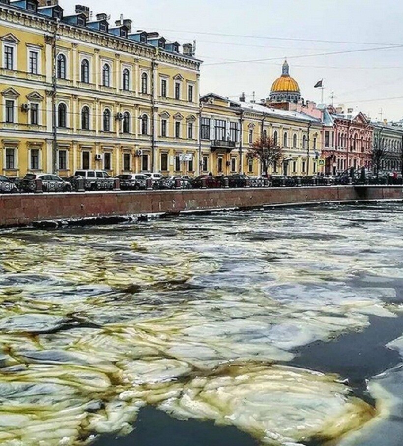 Фото: dmitry.vitushkin/instagram.com Фото: dmitry.vitushkin/instagram.com
