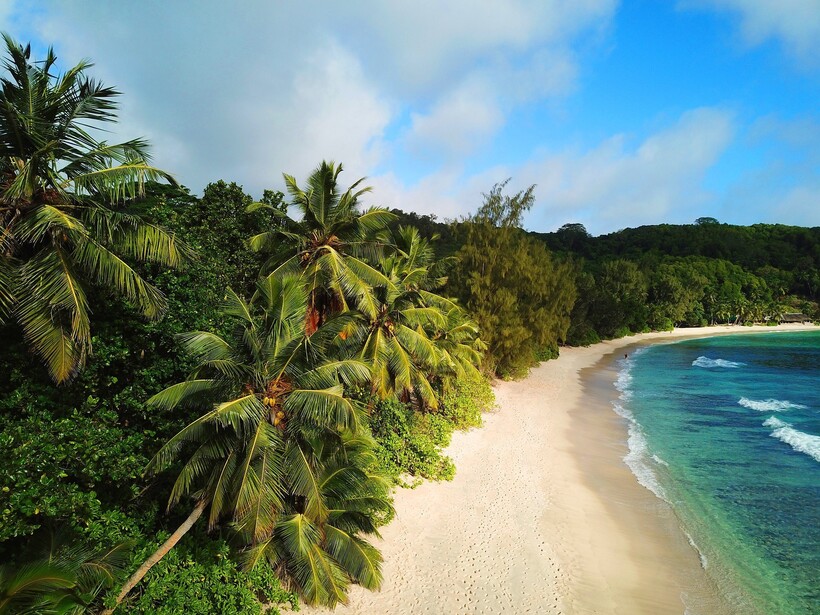 Фото: fleglsebastian7/pixabay.com Фото: fleglsebastian7/pixabay.com