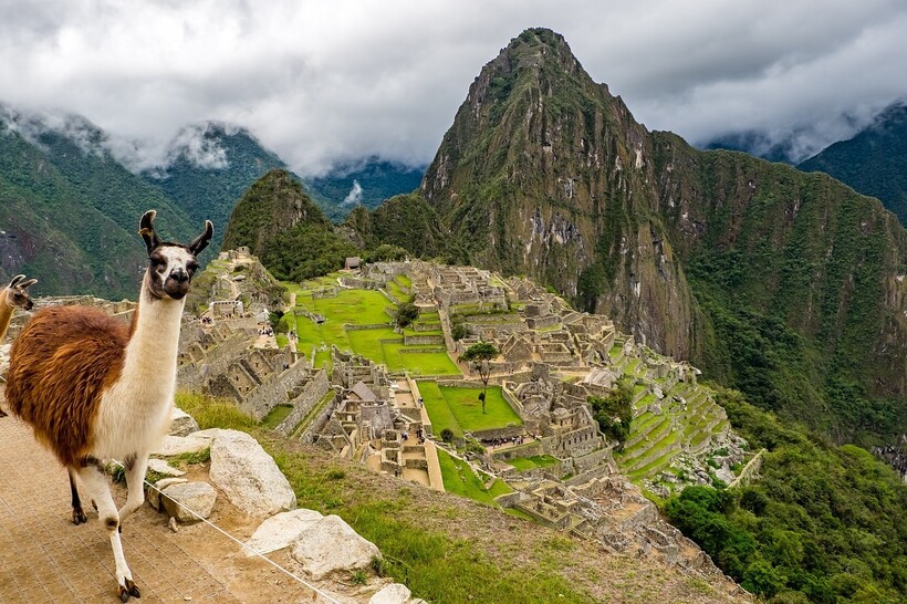 Фото: mailanmaikpixabay.com Фото: mailanmaikpixabay.com