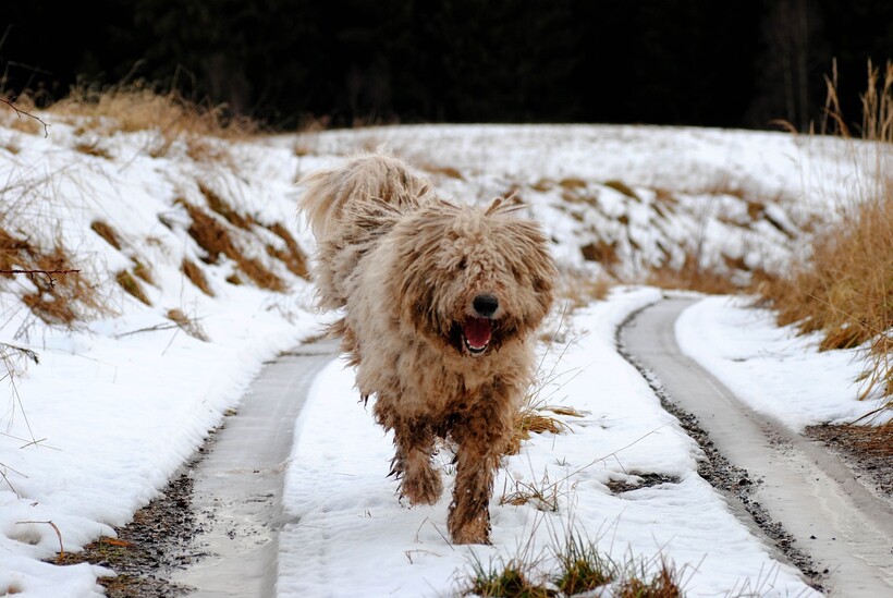 Фото: HellViolet/pixabay.com Фото: HellViolet/pixabay.com