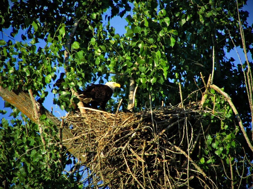 Фото: Avia5/pixabay.com Фото: Avia5/pixabay.com