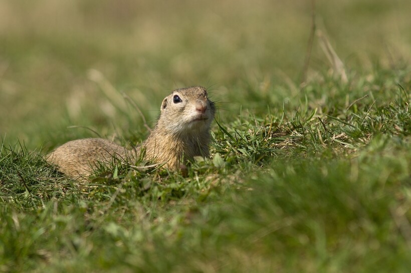 Фото: Tyna_Janoch/pixabay.com Фото: Tyna_Janoch/pixabay.com