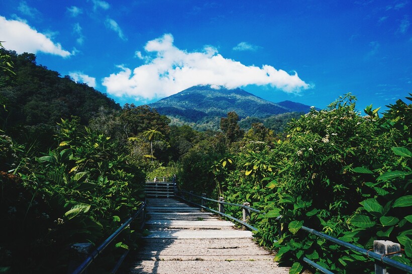Сады Богора. Фото: ibadahmimpi/pixabay.com Сады Богора. Фото: ibadahmimpi/pixabay.com