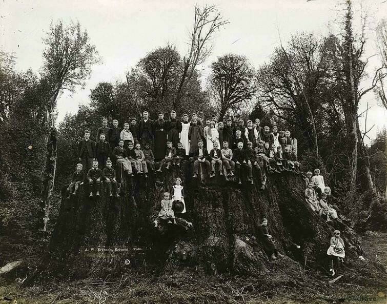 Блог - 10 редчайших исторических фотографий 10 редчайших исторических фотографий