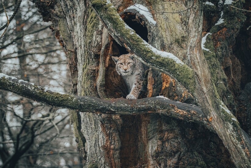 Фото: David Selbert/pexels.com Фото: David Selbert/pexels.com