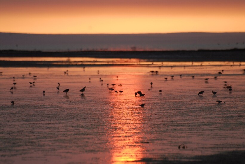 Фото: ecologyofrussia.ru Фото: ecologyofrussia.ru