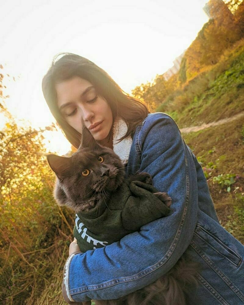 Блог - 15 фото кота Винсента, который вырос гигантским и обзавелся собачьим характером 15 фото кота Винсента, который вырос гигантским и обзавелся собачьим характером