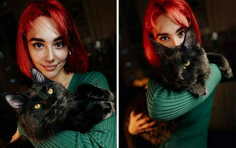 Блог - 15 фото кота Винсента, который вырос гигантским и обзавелся собачьим характером 15 фото кота Винсента, который вырос гигантским и обзавелся собачьим характером