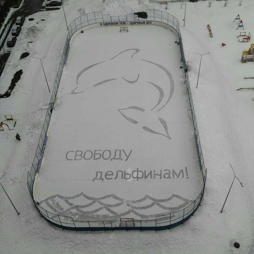 Блог - На радость соседям: 10 милых рисунков на снегу во дворе, созданные екатеринбуржцем На радость соседям: 10 милых рисунков на снегу во дворе, созданные екатеринбуржцем
