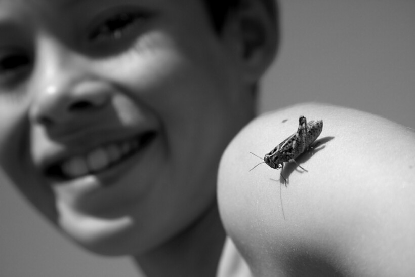 Фото: Marc Samsom/flickr.com Фото: Marc Samsom/flickr.com
