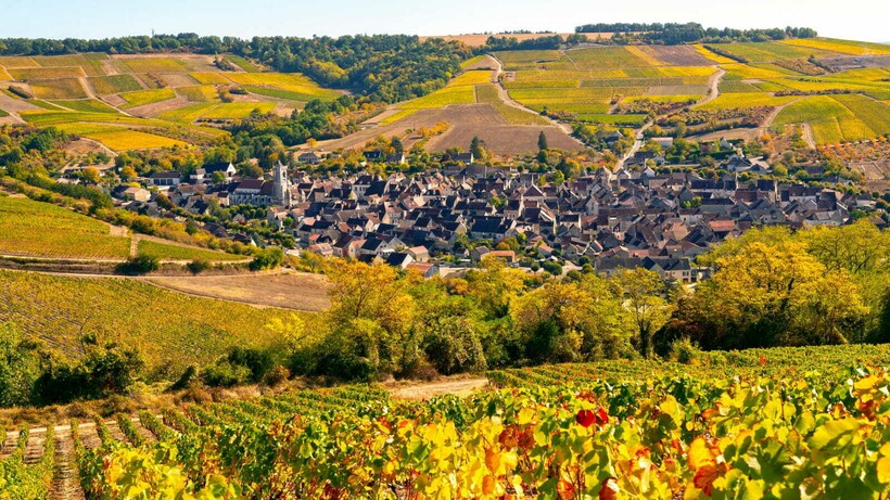Шабли — сердце одноименного винодельческого региона. Фото: burgundy-tourism.com Шабли — сердце одноименного винодельческого региона. Фото: burgundy-tourism.com
