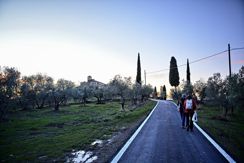 Фото: Rangoni-Gianluca/pixabay.com Фото: Rangoni-Gianluca/pixabay.com
