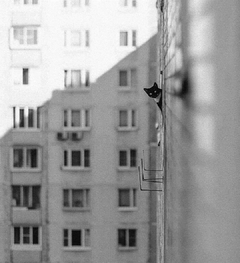 Блог - 21 снимок фотографов, которые случайно удачно поймали кадр 21 снимок фотографов, которые случайно удачно поймали кадр