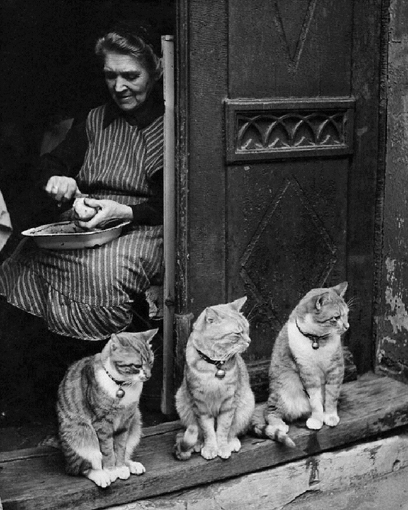 Блог - 21 снимок фотографов, которые случайно удачно поймали кадр 21 снимок фотографов, которые случайно удачно поймали кадр