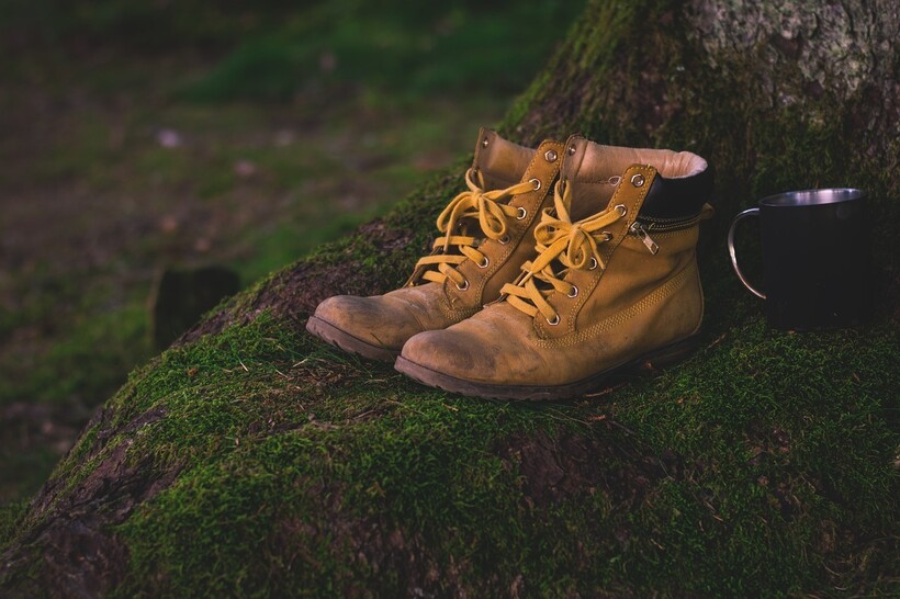 Фото: LUM3N/pixabay.com Фото: LUM3N/pixabay.com