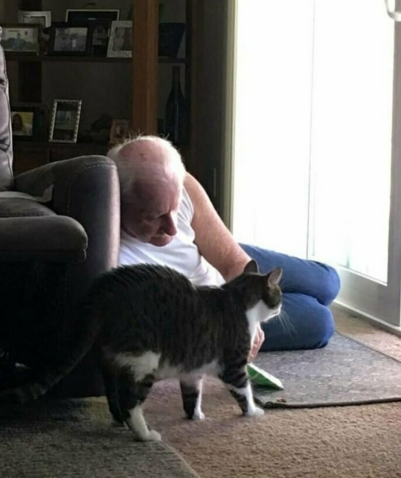 Блог - 10 людей, которые вначале были против «грязного кота», но потом что-то пошло не так 10 людей, которые вначале были против «грязного кота», но потом что-то пошло не так