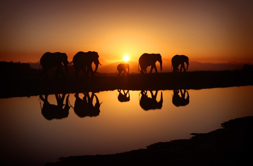 Фото: Alex Laurs / iso.500px.com Фото: Alex Laurs / iso.500px.com