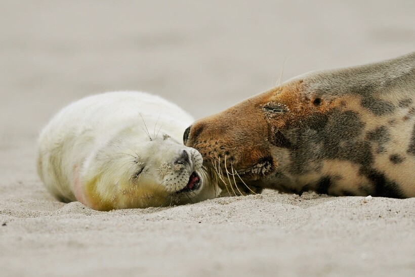 Фото: Rob Janné / iso.500px.com Фото: Rob Janné / iso.500px.com